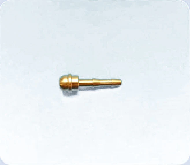 Miniatuur 1